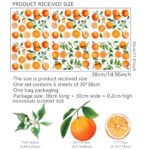 Fruit Orange Wall Decals?Orange Wall Stickers?Tangerine Fruit and Leaves Decal?Vinyl Wall Decals for Bedroom Living Room Nursery Wall Decor Wall Art(Orange)