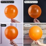 PartyWoo Tangerine Orange Balloons, 51 pcs 12 Inch Dark Orange Balloons, Deep Orange Balloons for Balloon Garland Balloon Arch, Party Decoration, Birthday Decorations, Wedding Decorations, Orange-Y9