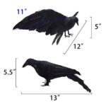 2-Pack Realistic Crows Lifesize Extra Large Handmade Black Feathered Crow for Halloween Decorations Birds, L (13 inch+12 inch)