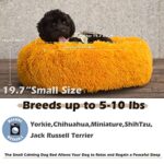 Small Dog Bed for Calming Dog 19 inches Orange Puppy Bed for Extra Small Dog Bed Washble Anti-Anxiety Puppy Bed Machine Washable Cozy Soft Pet Round Bed Fits up to 10-100 lbs