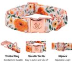 Elegant little tail Fall Dog Collar, Pet Collar Durable Orange Floral Dog Collars Male or Female Holiday Pet Gift Adjustable Dog Collar for Large Dogs