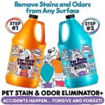 Calyptus Pet Stain and Odor Remover | Orange and Enzyme Cleaner Duo Solution for Pets | 128oz (64oz x 2 Bottles) | Carpet Cleaner and Odor Eliminator for Cat Urine, Dog Pee, and Poop | Pro Strength