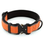 Plutus Pet Tactical Dog Collar, Reflective, Adjustable Heavy Duty Dog Collar, Soft Padded and Comfortable, for Small Medium and Large Dogs (Orange, L)