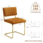 ONEVOG Orange Velvet Dining Chairs Set of 2, Upholstered Kitchen Dining Room Chair, Comfy Dinner Chair with Gold Metal Legs, Cantilevered Design Chair for Bedroom, Living Room