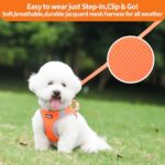 AIITLE Durable Dog Harness and Leash Set for Walking, Step in Puppy Harness, Spring Soft Breathable Pet Supplies, Reflective Bands, for Extra Small Dogs and House Cats Orange XXXS