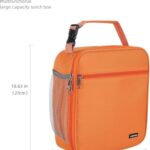 AYEANY Lunch box Lunch bag for men women Insulated Lunchbox Lunch bags for Work Picnic Travel (Orange)