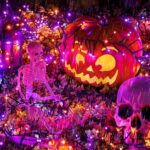 Halloween String Lights Outdoor Cluster Lights – 500 LED 25 Ft Orange Purple Twinkle Lights 8 Modes Timer Remote, Waterproof Plug in Halloween Fairy Lights for Indoor Outdoor Halloween Decorations